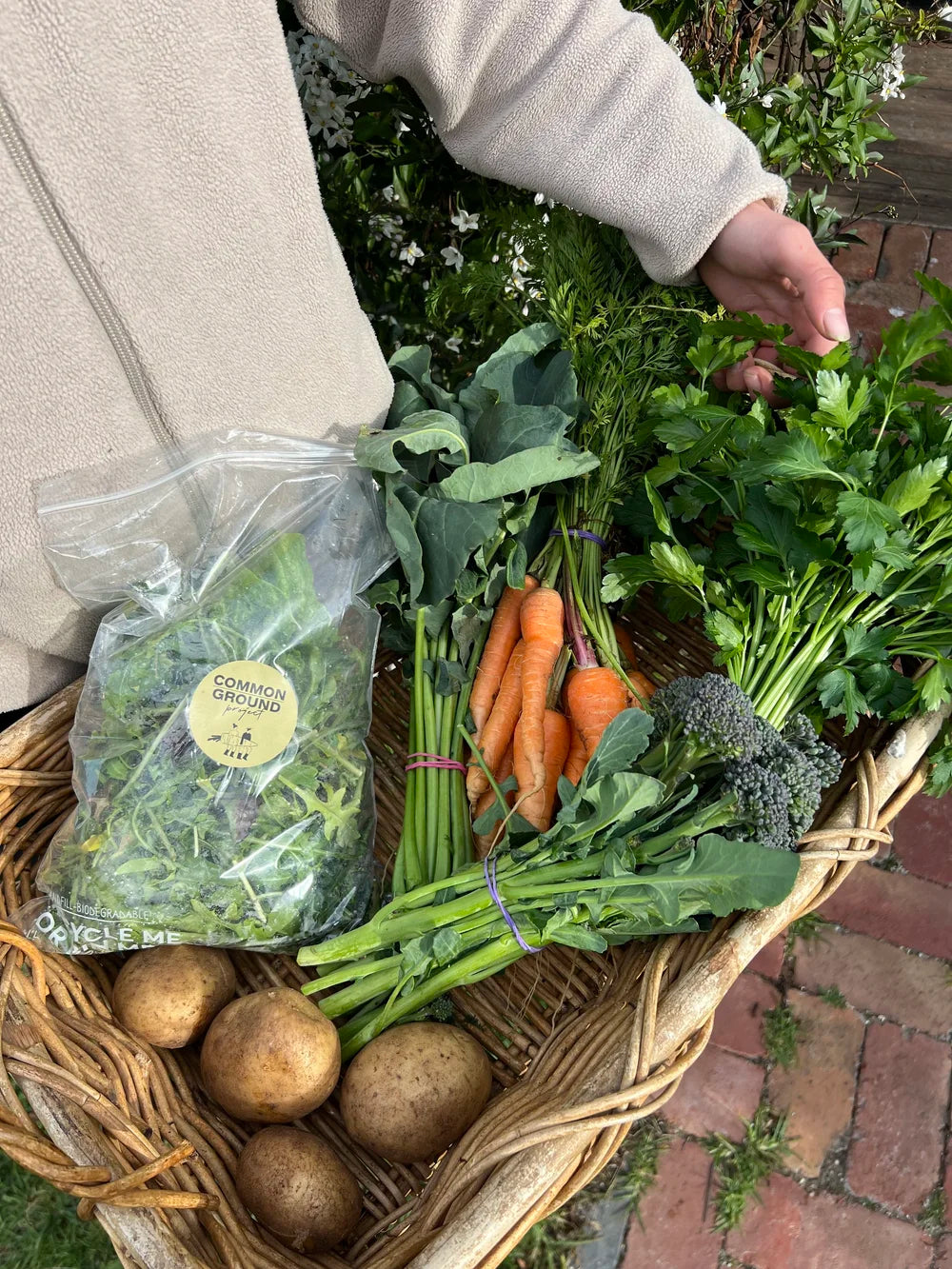 Seasonal produce box fresh vegetables