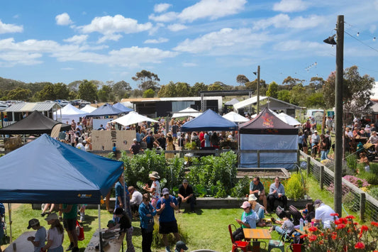 Harvest Festival: A Convivial Celebration of Community