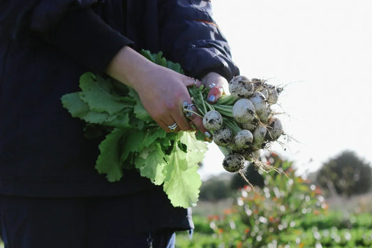Creating Stronger Food Systems and Food Security with Vivien Yii