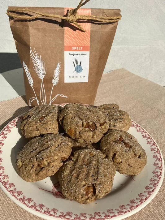 Tania’s Spelt Wheat, Wattle Seed and Walnut Biscuits