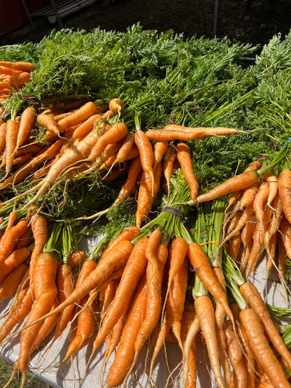 Fresh chopped organic vegetables ready for roasting