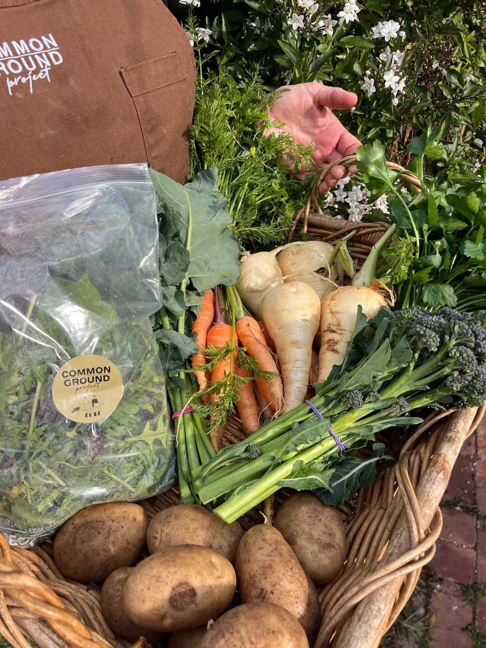 Duo Veg Box