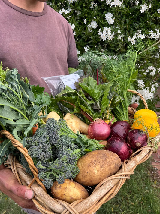 Family organic veg box Australia