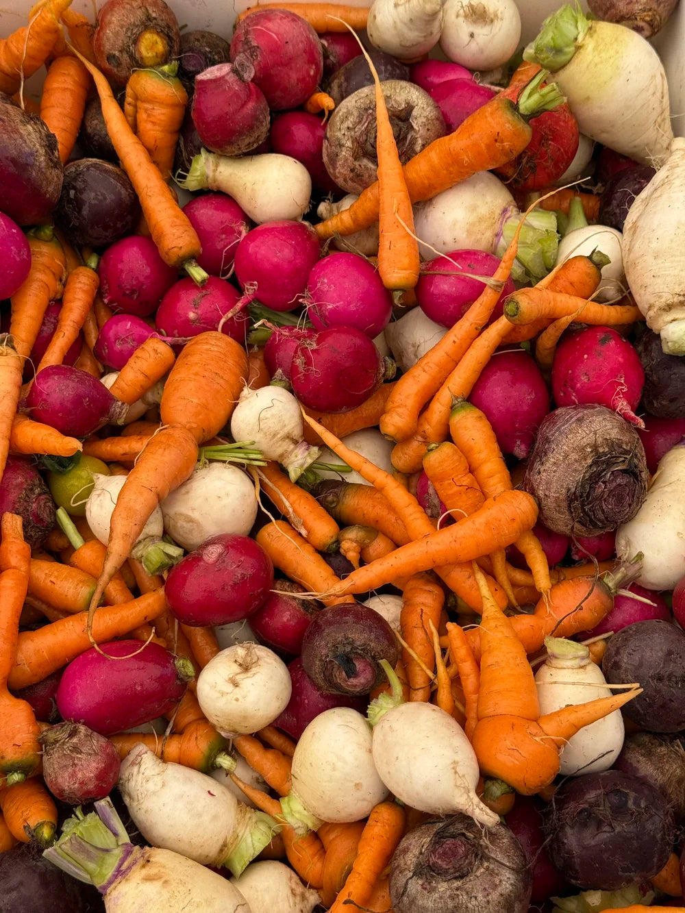 Fresh chopped organic vegetables ready for roasting