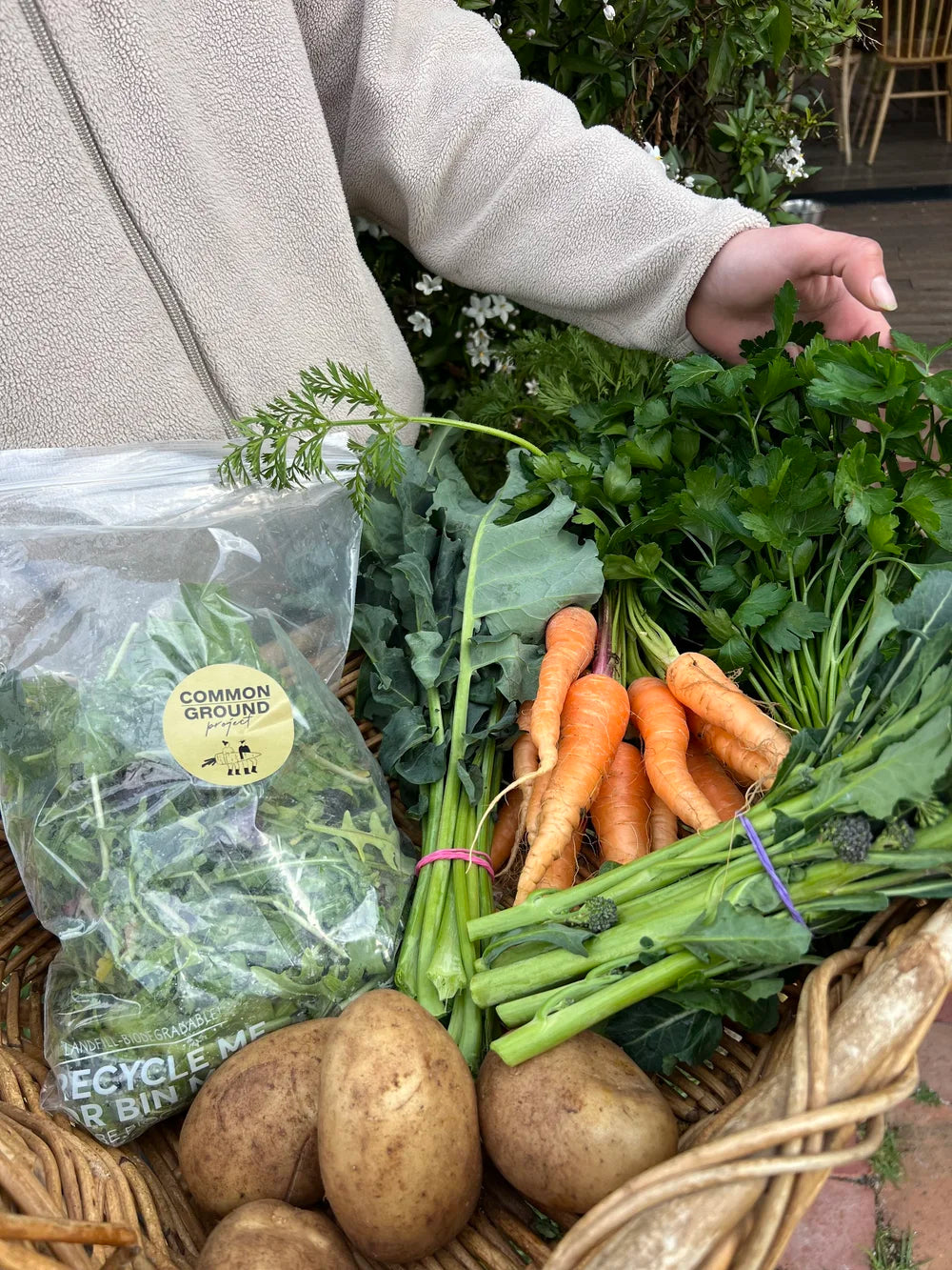 Organic veg box for one Australia
